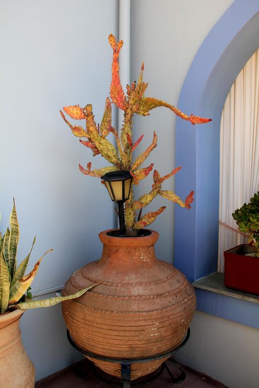 Néa Ankhíalos Aigli Apartments מראה חיצוני תמונה